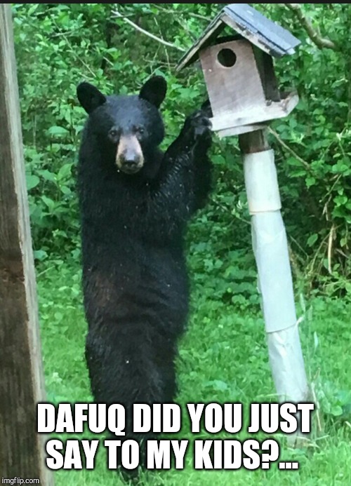 DAFUQ DID YOU JUST SAY TO MY KIDS?... | made w/ Imgflip meme maker