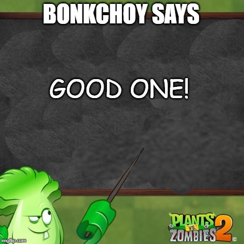 Bonk Choy says | BONKCHOY SAYS GOOD ONE! | image tagged in bonk choy says | made w/ Imgflip meme maker