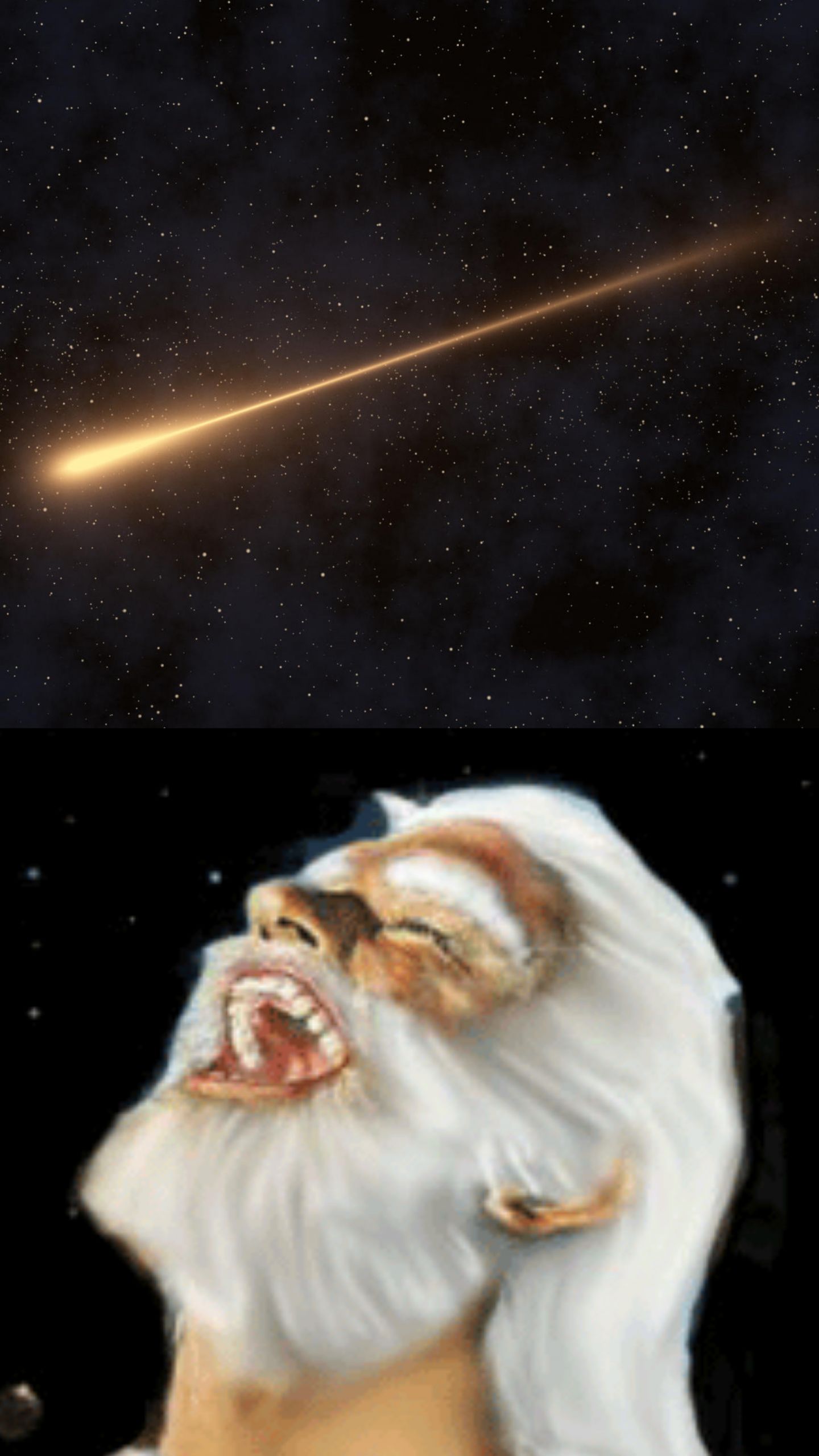 God Laughs At Your Wish Blank Meme Template