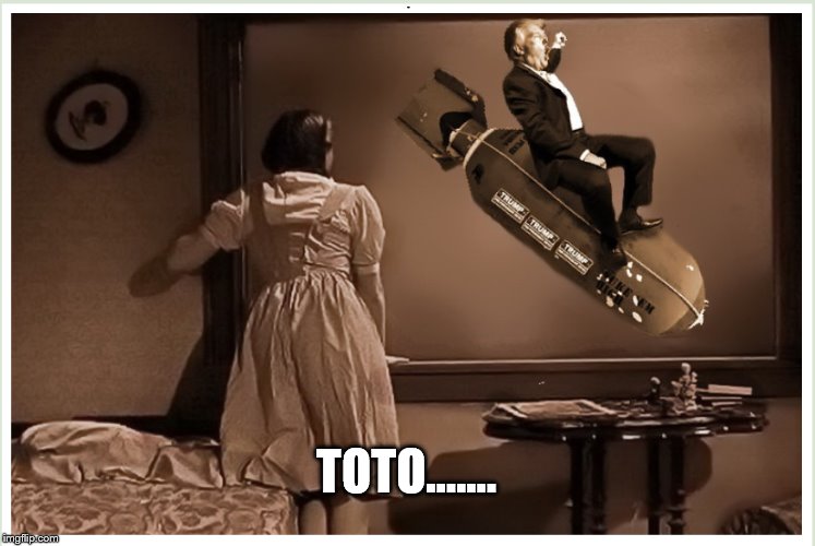 Oh Crap! | TOTO...…. | image tagged in donald trump,wizard of oz,dorothy,nuclear bomb,impeach trump | made w/ Imgflip meme maker