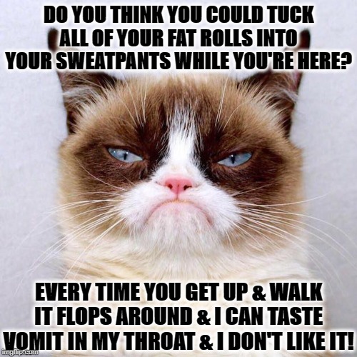 JUDGEMENT | DO YOU THINK YOU COULD TUCK ALL OF YOUR FAT ROLLS INTO YOUR SWEATPANTS WHILE YOU'RE HERE? EVERY TIME YOU GET UP & WALK IT FLOPS AROUND & I CAN TASTE VOMIT IN MY THROAT & I DON'T LIKE IT! | image tagged in judgement | made w/ Imgflip meme maker