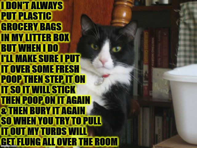 I DON'T ALWAYS | I DON'T ALWAYS PUT PLASTIC GROCERY BAGS IN MY LITTER BOX; BUT WHEN I DO I'LL MAKE SURE I PUT IT OVER SOME FRESH POOP THEN STEP IT ON IT SO IT WILL STICK THEN POOP ON IT AGAIN & THEN BURY IT AGAIN SO WHEN YOU TRY TO PULL IT OUT MY TURDS WILL GET FLUNG ALL OVER THE ROOM | image tagged in i don't always | made w/ Imgflip meme maker