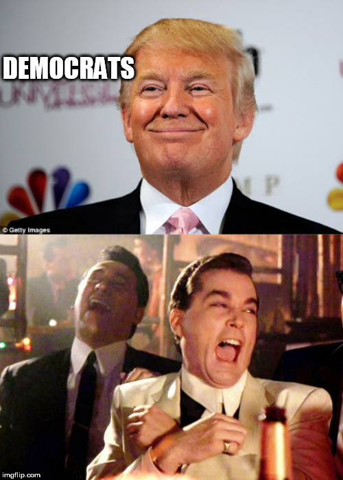 DEMOCRATS | image tagged in goodfellas laugh,donald trump approves | made w/ Imgflip meme maker