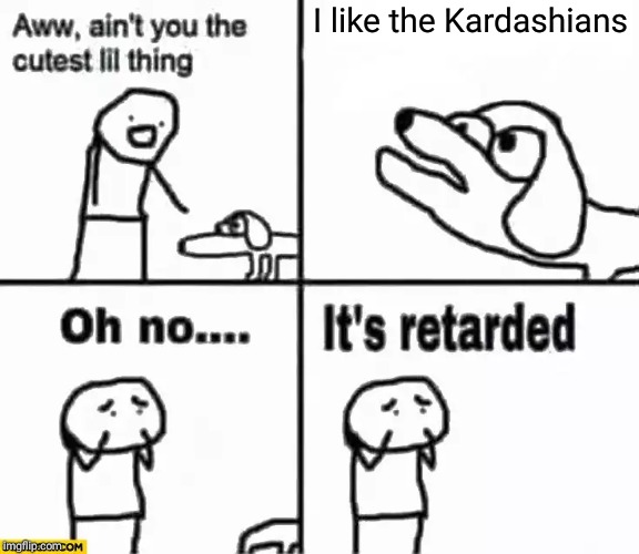 Oh no it's retarded! | I like the Kardashians | image tagged in oh no it's retarded | made w/ Imgflip meme maker