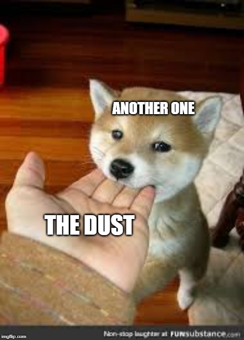 another one bites the dust | ANOTHER ONE; THE DUST | image tagged in memes,funny,dog memes | made w/ Imgflip meme maker