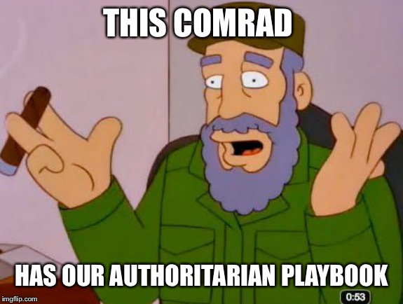 Fidel Castro Simpsons | THIS COMRAD HAS OUR AUTHORITARIAN PLAYBOOK | image tagged in fidel castro simpsons | made w/ Imgflip meme maker