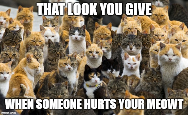 Aoshima cat island | THAT LOOK YOU GIVE; WHEN SOMEONE HURTS YOUR MEOWT | image tagged in aoshima cat island | made w/ Imgflip meme maker
