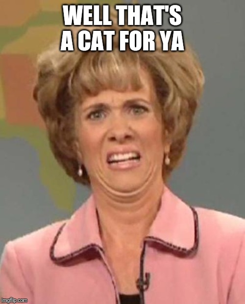 Disgusted Kristin Wiig | WELL THAT'S A CAT FOR YA | image tagged in disgusted kristin wiig | made w/ Imgflip meme maker