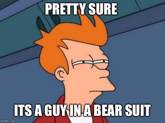 Futurama Fry Meme | PRETTY SURE ITS A GUY IN A BEAR SUIT | image tagged in memes,futurama fry | made w/ Imgflip meme maker