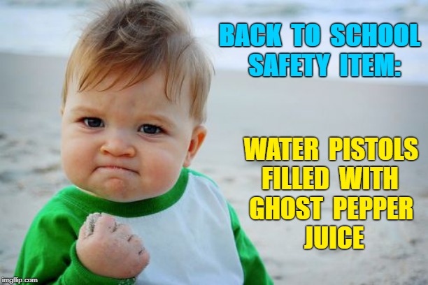 Don't MESS with KIDS!!! | BACK  TO  SCHOOL
SAFETY  ITEM:; WATER  PISTOLS
FILLED  WITH    
 GHOST  PEPPER 
JUICE | image tagged in memes,success kid original,rick75230,school shootings | made w/ Imgflip meme maker