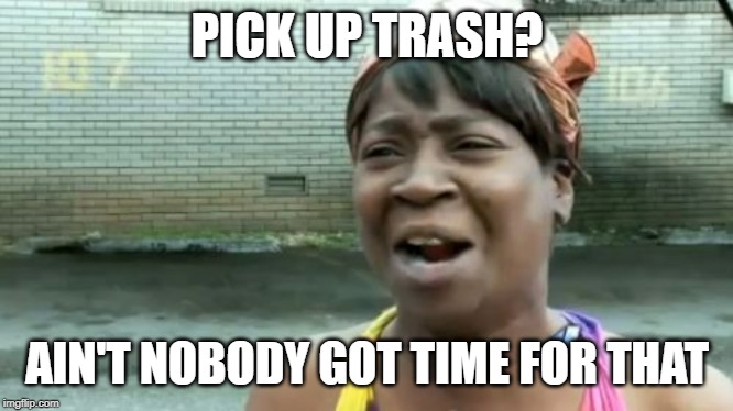 Ain't Nobody Got Time For That Meme | PICK UP TRASH? AIN'T NOBODY GOT TIME FOR THAT | image tagged in memes,aint nobody got time for that | made w/ Imgflip meme maker