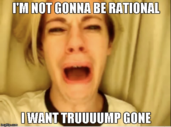 Leave Britney Alone | I'M NOT GONNA BE RATIONAL I WANT TRUUUUMP GONE | image tagged in leave britney alone | made w/ Imgflip meme maker