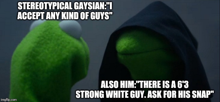 Evil Kermit Meme | STEREOTYPICAL GAYSIAN:"I ACCEPT ANY KIND OF GUYS"; ALSO HIM:"THERE IS A 6'3 STRONG WHITE GUY. ASK FOR HIS SNAP" | image tagged in memes,evil kermit | made w/ Imgflip meme maker