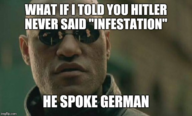 Matrix Morpheus | WHAT IF I TOLD YOU HITLER NEVER SAID "INFESTATION"; HE SPOKE GERMAN | image tagged in memes,matrix morpheus | made w/ Imgflip meme maker