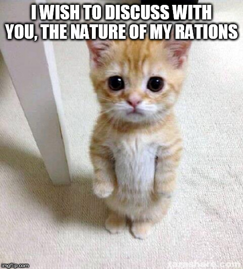 Cute Cat Meme | I WISH TO DISCUSS WITH YOU, THE NATURE OF MY RATIONS | image tagged in memes,cute cat | made w/ Imgflip meme maker