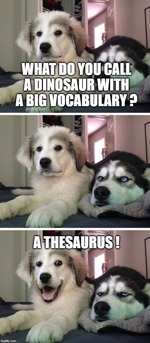 Bad pun dogs | WHAT DO YOU CALL A DINOSAUR WITH A BIG VOCABULARY ? A THESAURUS ! | image tagged in bad pun dogs | made w/ Imgflip meme maker