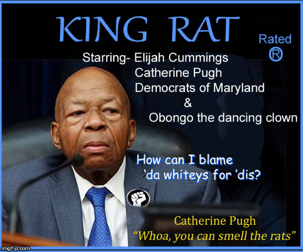 King RAT | image tagged in rats,baltimore,elijah cummings,democrats,lol so funny,funny memes | made w/ Imgflip meme maker
