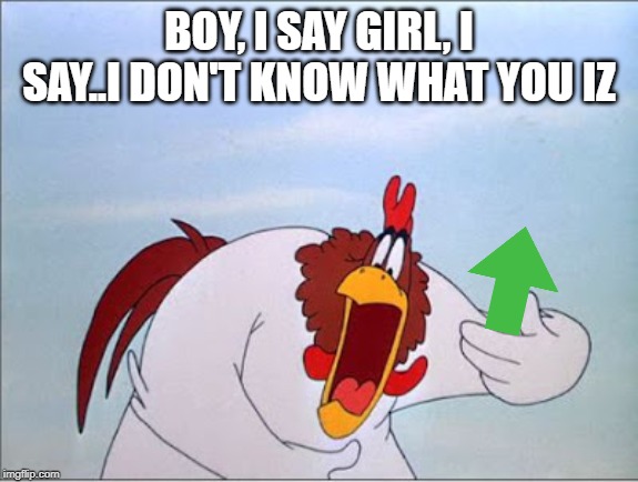 foghorn | BOY, I SAY GIRL, I SAY..I DON'T KNOW WHAT YOU IZ | image tagged in foghorn | made w/ Imgflip meme maker