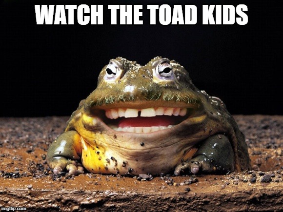 Funny Toad Smile | WATCH THE TOAD KIDS | image tagged in funny toad smile | made w/ Imgflip meme maker