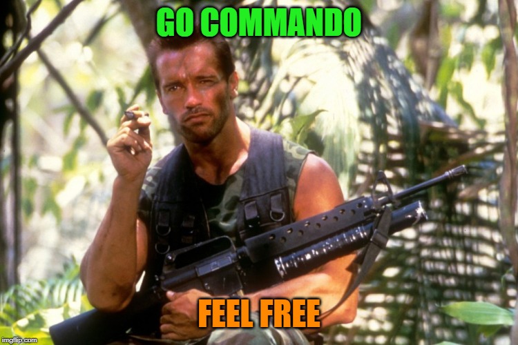 Commando | GO COMMANDO FEEL FREE | image tagged in commando | made w/ Imgflip meme maker