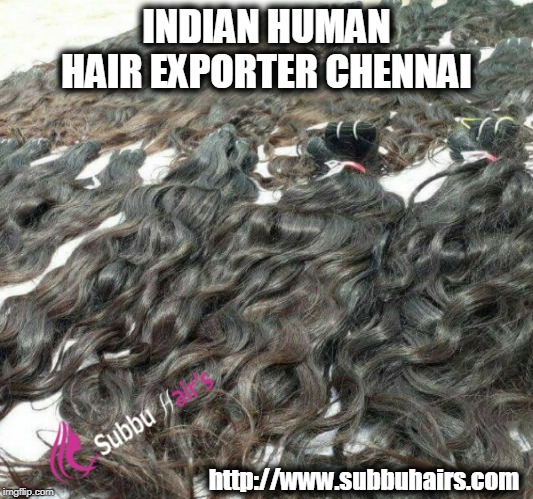 Indian Human Hair Exporter Chennai | INDIAN HUMAN HAIR EXPORTER CHENNAI; http://www.subbuhairs.com | image tagged in indian human hair exporter chennai,hair,hairstyle,long black hair,black hair | made w/ Imgflip meme maker
