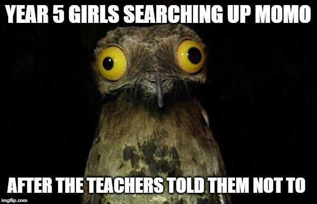 Weird Stuff I Do Potoo Meme | YEAR 5 GIRLS SEARCHING UP MOMO; AFTER THE TEACHERS TOLD THEM NOT TO | image tagged in memes,weird stuff i do potoo | made w/ Imgflip meme maker