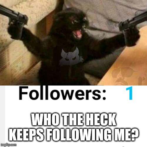 WHO THE HECK KEEPS FOLLOWING ME? | image tagged in cat with guns | made w/ Imgflip meme maker