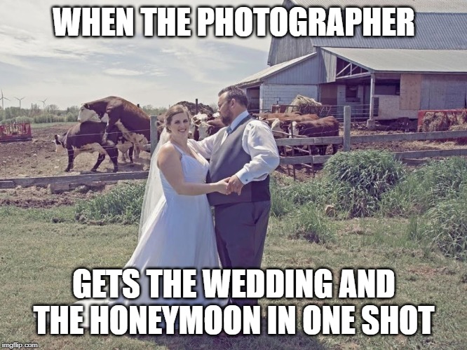 WHEN THE PHOTOGRAPHER; GETS THE WEDDING AND THE HONEYMOON IN ONE SHOT | image tagged in memes | made w/ Imgflip meme maker