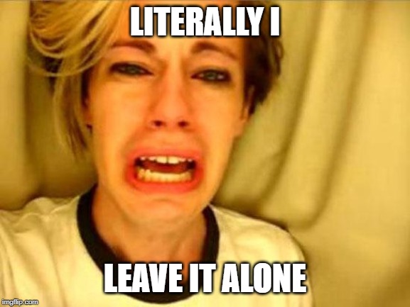 Leave Britney Alone | LITERALLY I LEAVE IT ALONE | image tagged in leave britney alone | made w/ Imgflip meme maker