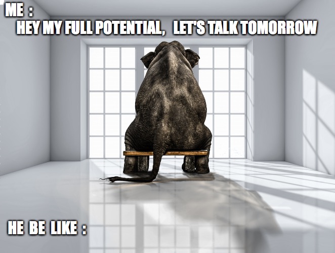 www.britcoach.com | ME  :  
    HEY MY FULL POTENTIAL,   LET'S TALK TOMORROW; HE  BE  LIKE  : | image tagged in elephant in the room | made w/ Imgflip meme maker