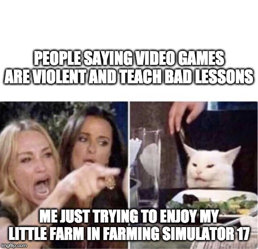 Woman Screaming At Cat | PEOPLE SAYING VIDEO GAMES ARE VIOLENT AND TEACH BAD LESSONS; ME JUST TRYING TO ENJOY MY LITTLE FARM IN FARMING SIMULATOR 17 | image tagged in woman screaming at cat | made w/ Imgflip meme maker