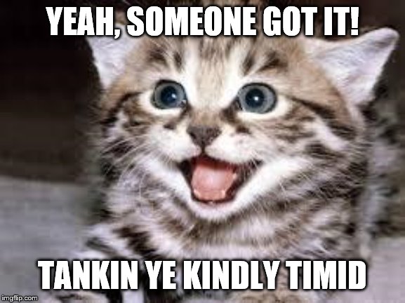 happy cat | YEAH, SOMEONE GOT IT! TANKIN YE KINDLY TIMID | image tagged in happy cat | made w/ Imgflip meme maker