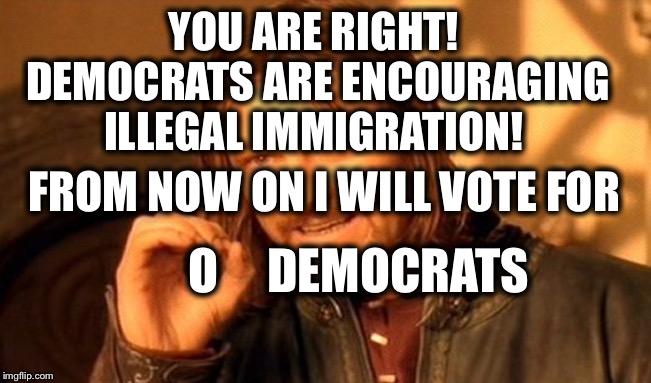 One Does Not Simply Meme | YOU ARE RIGHT!  DEMOCRATS ARE ENCOURAGING ILLEGAL IMMIGRATION! O     DEMOCRATS FROM NOW ON I WILL VOTE FOR | image tagged in memes,one does not simply | made w/ Imgflip meme maker