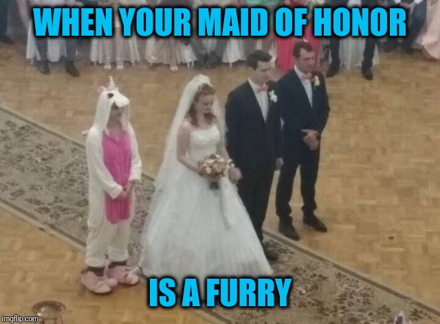 Nice pajamas | WHEN YOUR MAID OF HONOR; IS A FURRY | image tagged in furry,wedding | made w/ Imgflip meme maker