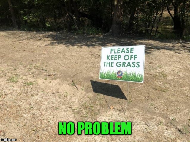 Uh, sure | NO PROBLEM | image tagged in grass,sign | made w/ Imgflip meme maker