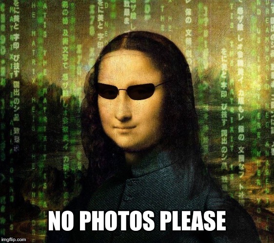 Mona Lisa Matrix | NO PHOTOS PLEASE | image tagged in mona lisa matrix | made w/ Imgflip meme maker