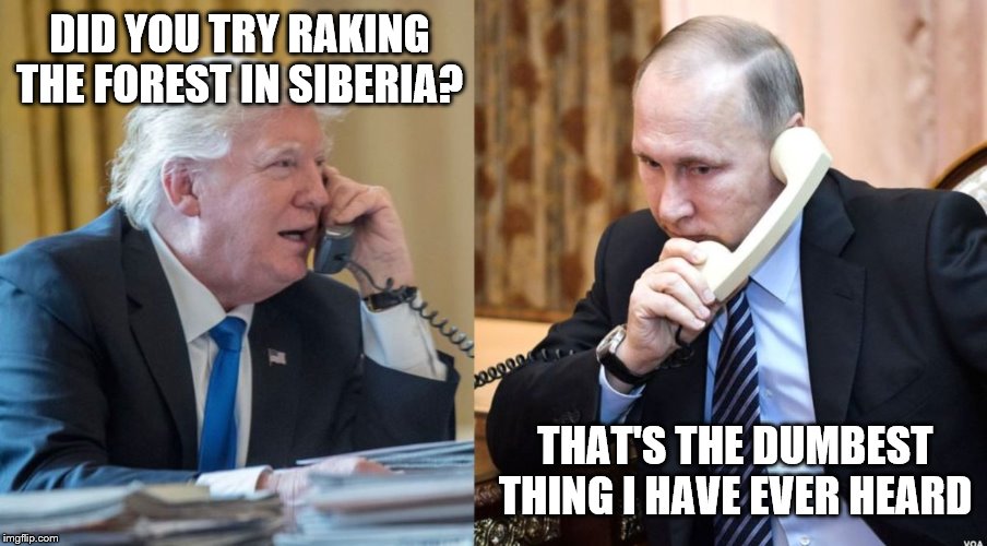 Trump Putin phone call | DID YOU TRY RAKING THE FOREST IN SIBERIA? THAT'S THE DUMBEST THING I HAVE EVER HEARD | image tagged in trump putin phone call | made w/ Imgflip meme maker