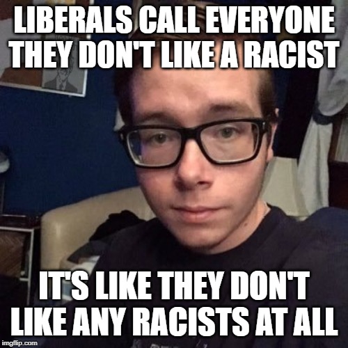 LIBERALS CALL EVERYONE THEY DON'T LIKE A RACIST; IT'S LIKE THEY DON'T LIKE ANY RACISTS AT ALL | image tagged in nikolas lemini | made w/ Imgflip meme maker