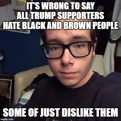 IT'S WRONG TO SAY ALL TRUMP SUPPORTERS HATE BLACK AND BROWN PEOPLE; SOME OF JUST DISLIKE THEM | image tagged in nikolas lemini | made w/ Imgflip meme maker
