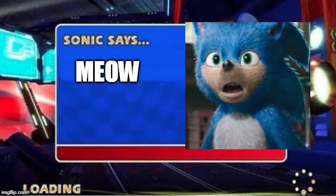 Sonic Says | MEOW | image tagged in sonic says | made w/ Imgflip meme maker