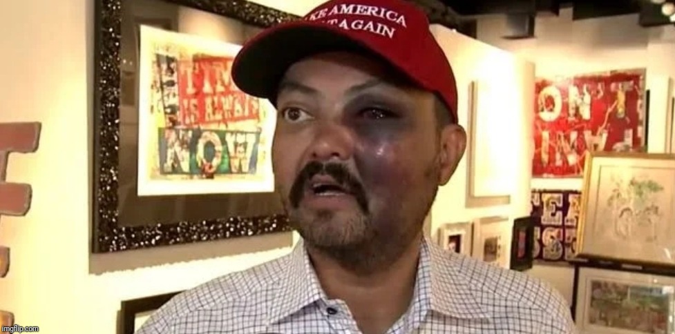 Brilliant | image tagged in maga | made w/ Imgflip meme maker