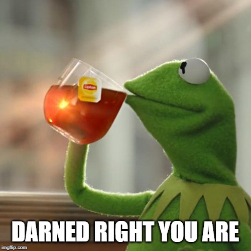 But That's None Of My Business Meme | DARNED RIGHT YOU ARE | image tagged in memes,but thats none of my business,kermit the frog | made w/ Imgflip meme maker