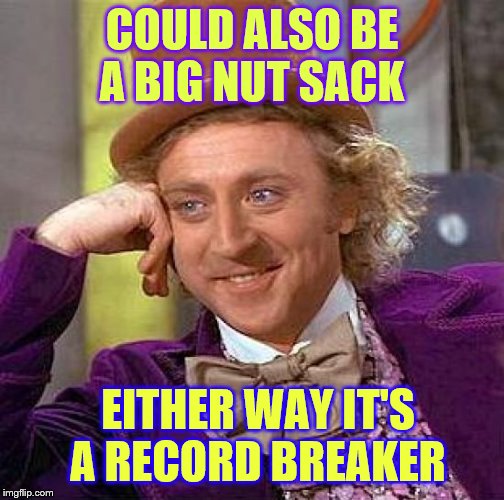 Creepy Condescending Wonka Meme | COULD ALSO BE A BIG NUT SACK EITHER WAY IT'S A RECORD BREAKER | image tagged in memes,creepy condescending wonka | made w/ Imgflip meme maker