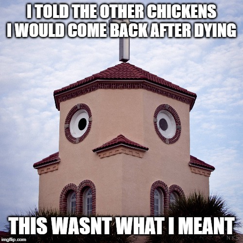 Holy Cluck! | I TOLD THE OTHER CHICKENS I WOULD COME BACK AFTER DYING; THIS WASNT WHAT I MEANT | image tagged in chicken | made w/ Imgflip meme maker