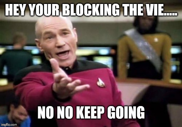 Picard Wtf Meme | HEY YOUR BLOCKING THE VIE..... NO NO KEEP GOING | image tagged in memes,picard wtf | made w/ Imgflip meme maker