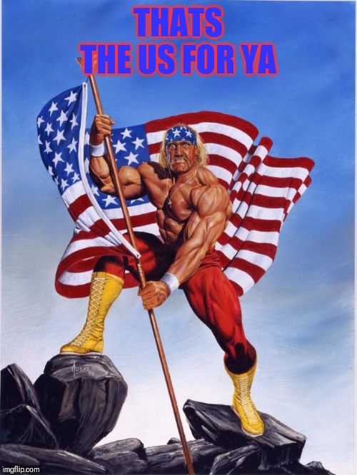 Hulk hogan merica  | THATS THE US FOR YA | image tagged in hulk hogan merica | made w/ Imgflip meme maker