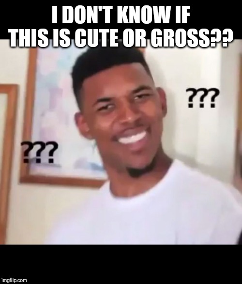 what the fuck n*gga wtf | I DON'T KNOW IF THIS IS CUTE OR GROSS?? | image tagged in what the fuck ngga wtf | made w/ Imgflip meme maker