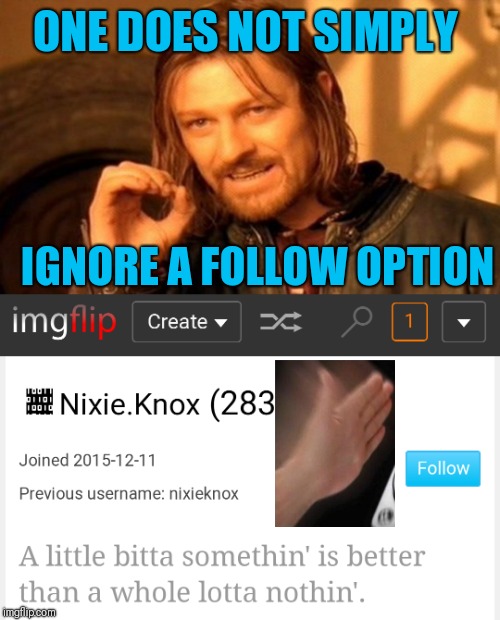 ONE DOES NOT SIMPLY; IGNORE A FOLLOW OPTION | image tagged in memes,one does not simply | made w/ Imgflip meme maker