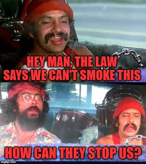 HEY MAN, THE LAW SAYS WE CAN'T SMOKE THIS HOW CAN THEY STOP US? | image tagged in cheech and chong,cheech and chong blunt | made w/ Imgflip meme maker