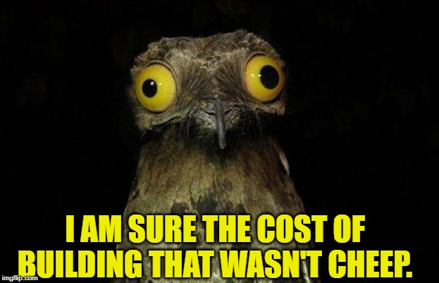 Weird Stuff I Do Potoo Meme | I AM SURE THE COST OF BUILDING THAT WASN'T CHEEP. | image tagged in memes,weird stuff i do potoo | made w/ Imgflip meme maker